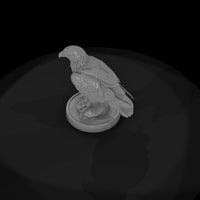 ant-116-golden-eagle-female — thumbnail 6