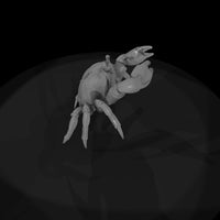 1980s-miami-beach-crab — thumbnail 8