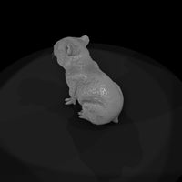 ant-258-capybara-adolescent — thumbnail 6