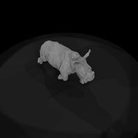 ant-033-white-rhinoceros-adolescent — thumbnail 6