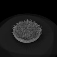 stylized-blue-grass-tuft-3d-model-k34nfxv5-05ef2d — thumbnail 7
