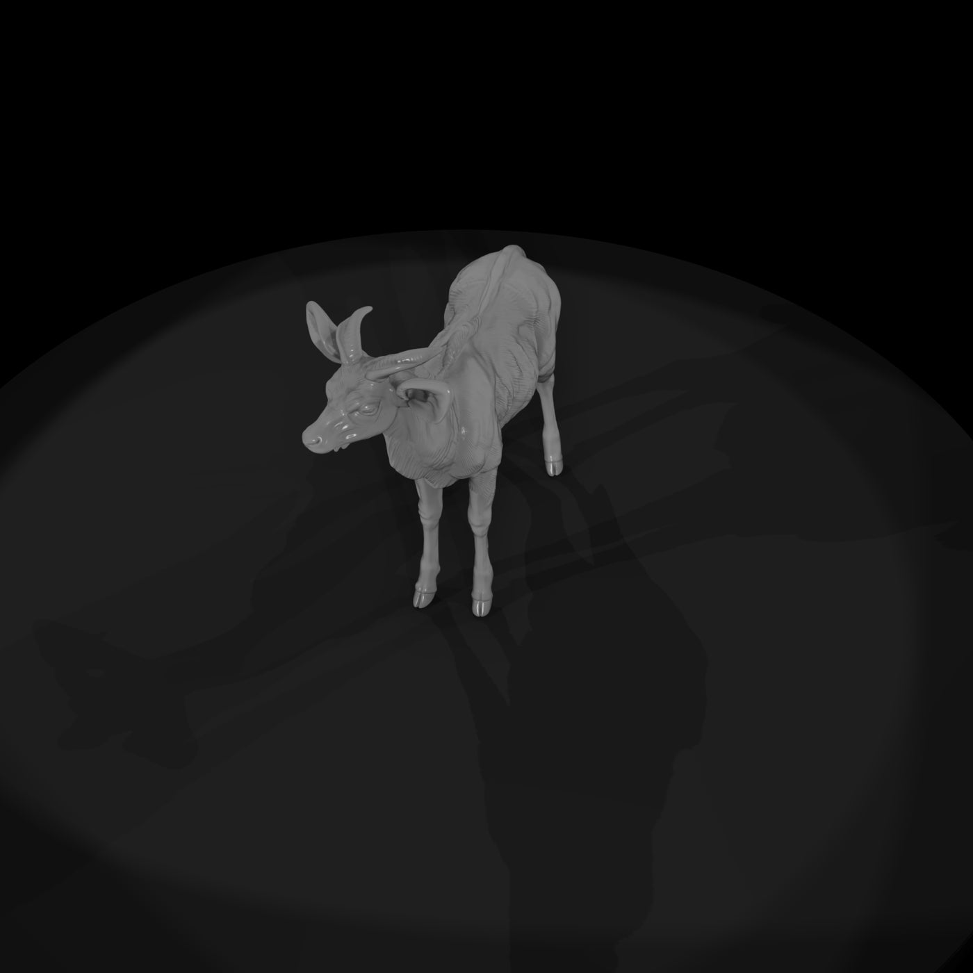ant-069-greater-kudu-adolescent
