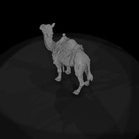 cir-122-animal-circus-camel — thumbnail 6