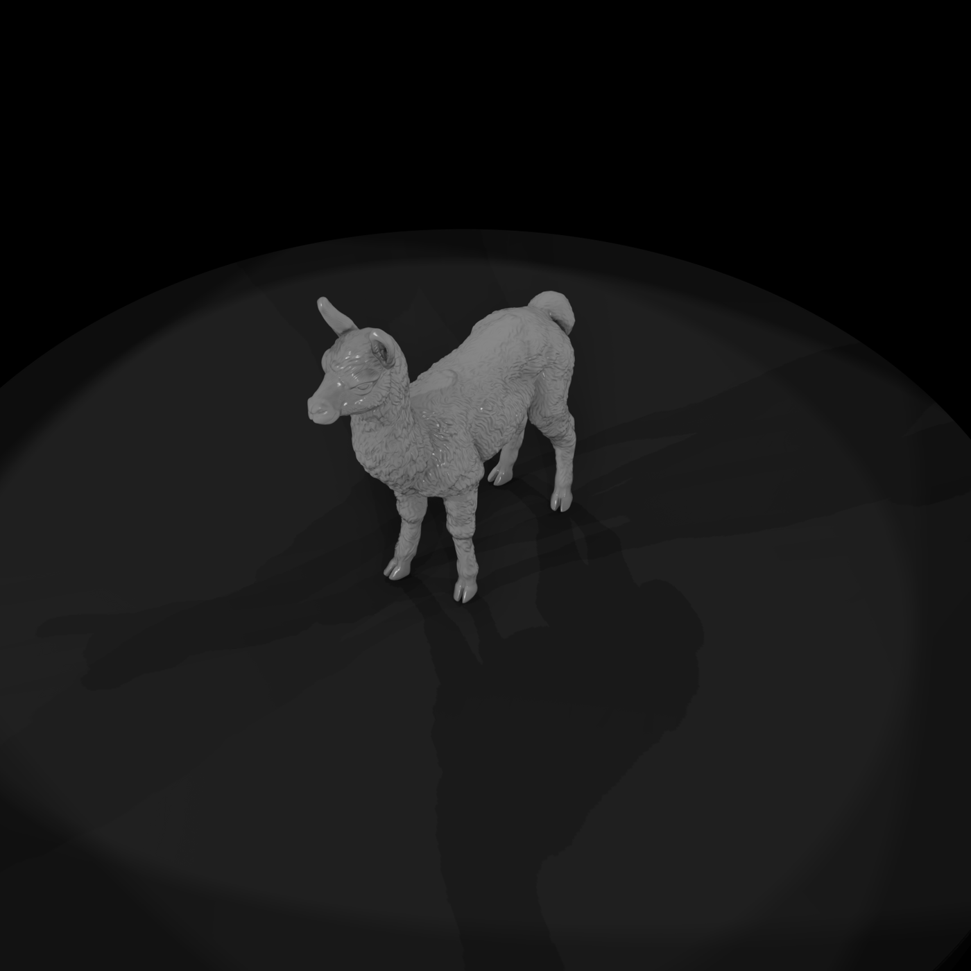 Young Llama