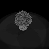 stylized-oak-tree-miniature-for-dioramas-model-trains-272826 — thumbnail 7