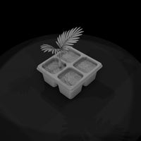 minimalist-seedling-tray-with-palm-saplings-329217 — thumbnail 7