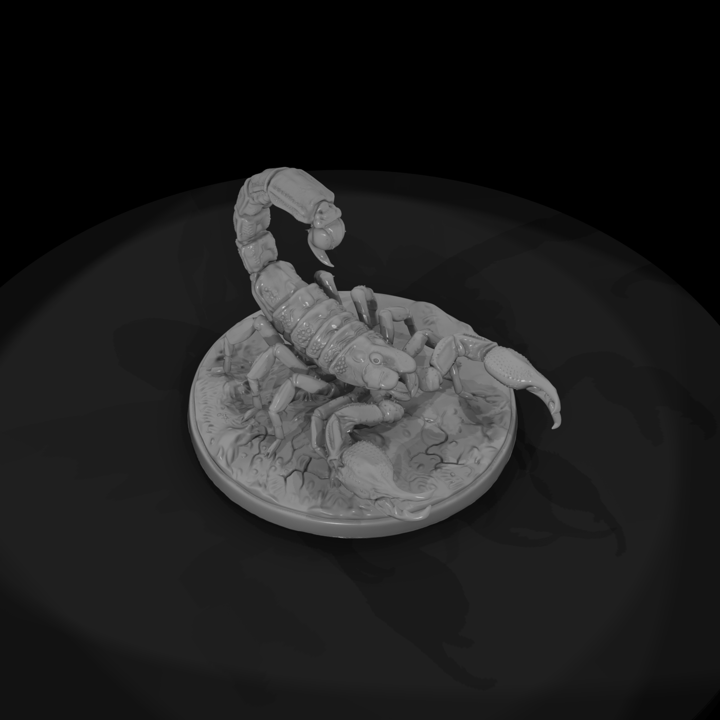 Ww 0340 Animal Desert Scorpion
