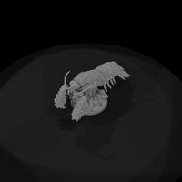 creature-p074-coral-claw-smasher — thumbnail 6