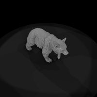 ant-212-american-black-bear-female — thumbnail 6