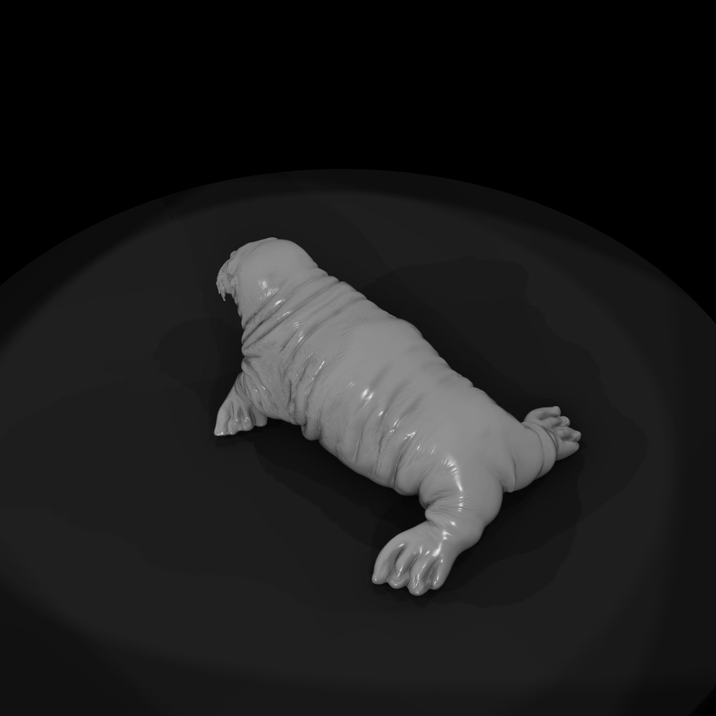 ant-144-walrus-adolescent