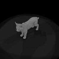 ant-157-eurasian-lynx-male — thumbnail 6