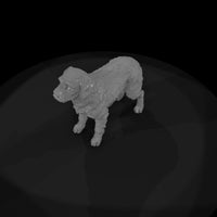 hunting-dog — thumbnail 8