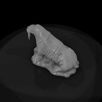 ant-142-walrus-male — thumbnail 6