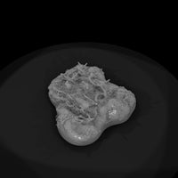 sculpted-undergrowth-terrain-base-3d-model-xm8vpta-378949 — thumbnail 7