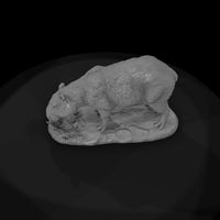ant-257-capybara-female — thumbnail 6