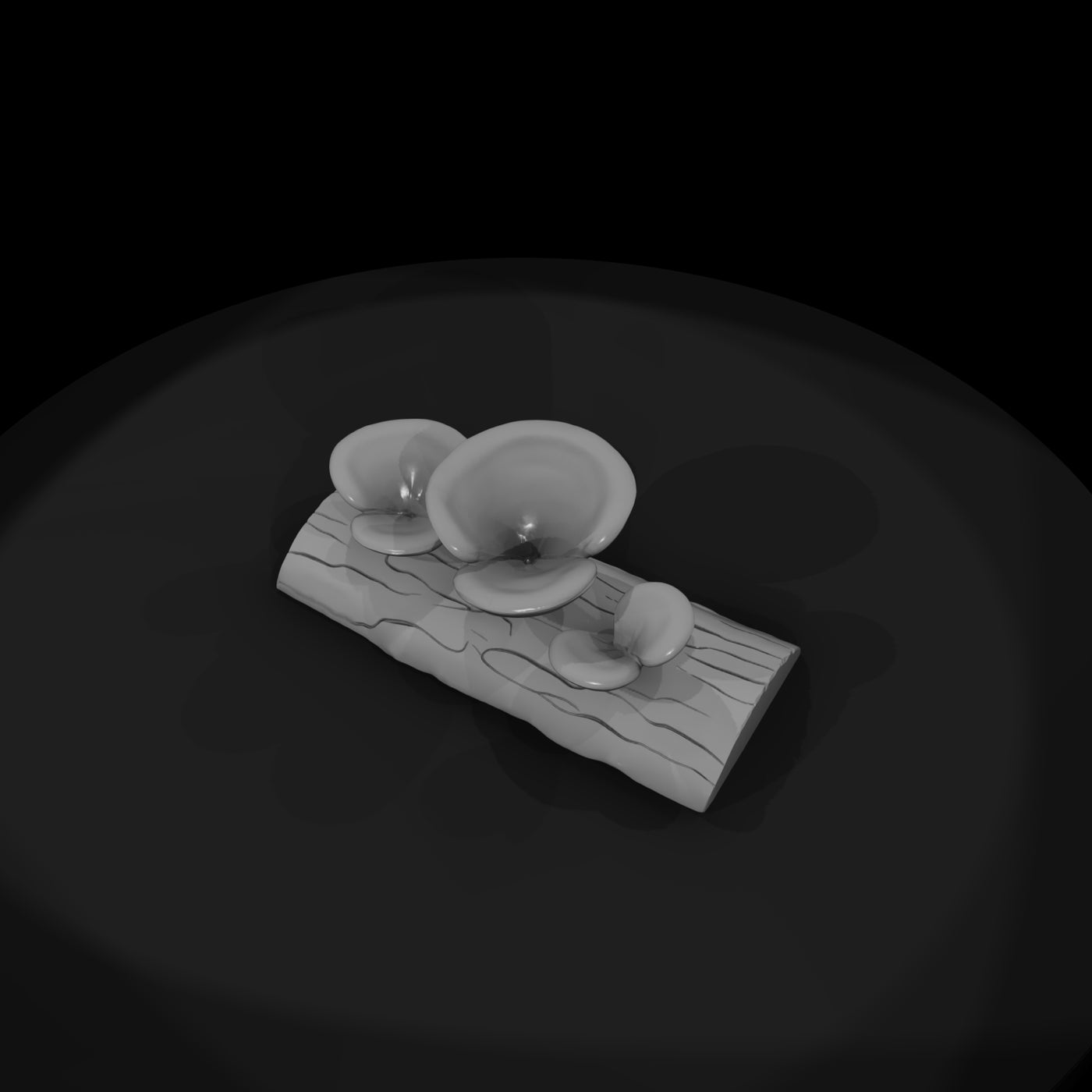 stylized-low-poly-turkey-tail-mushroom-270706