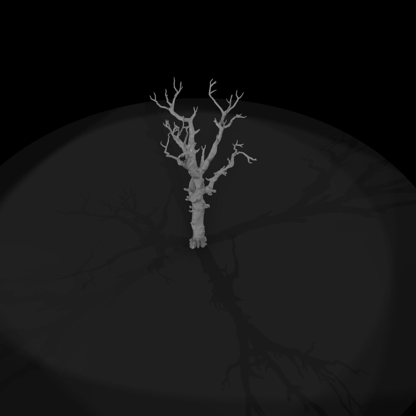 20260612 Dead Bare Tree Field Edf7Fcaef4