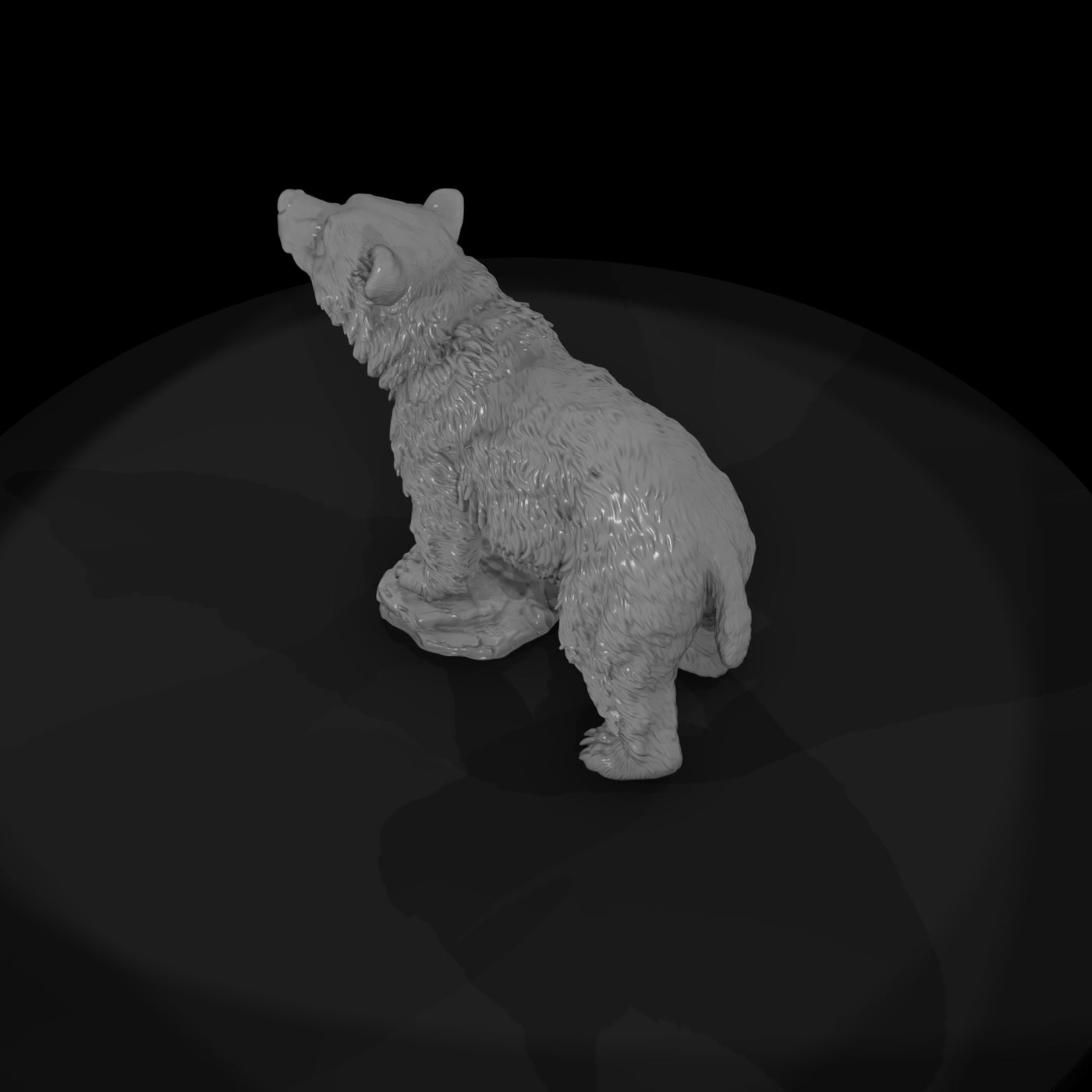 ant-021-grizzly-bear-adolescent
