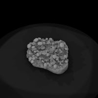 stylized-lichen-cluster-miniature-botanical-scenery-424344 — thumbnail 7