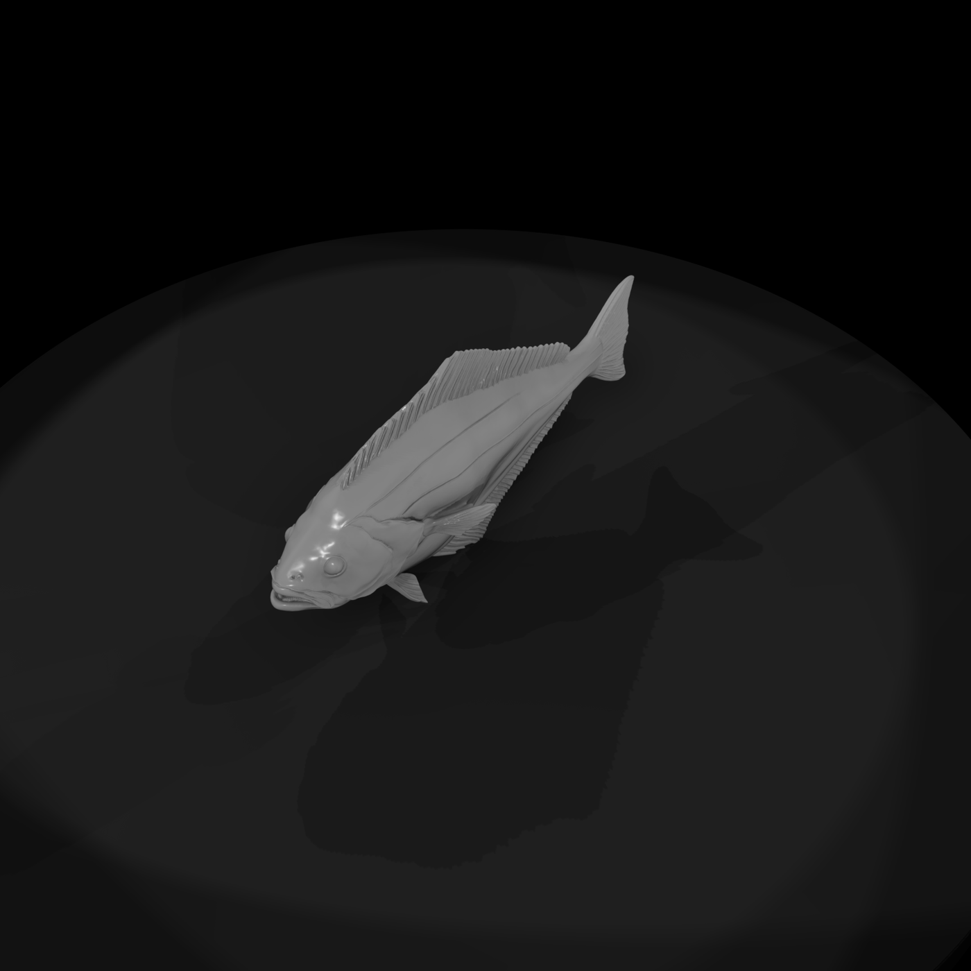 Halibut Flatfish & Displays