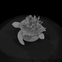 creature-p064-coral-crown-turtle — thumbnail 6