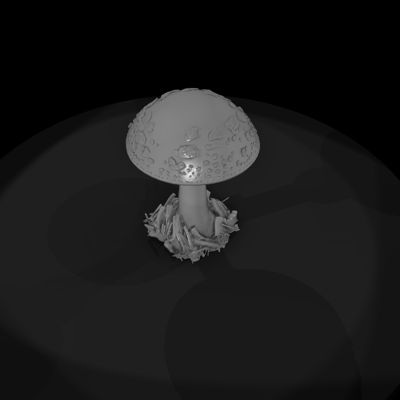 Fly Agaric Mushroom