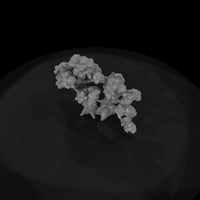 trees — thumbnail 7