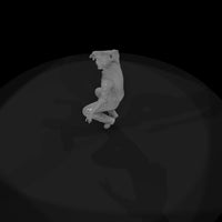 hells-angels-simon-the-cat — thumbnail 8