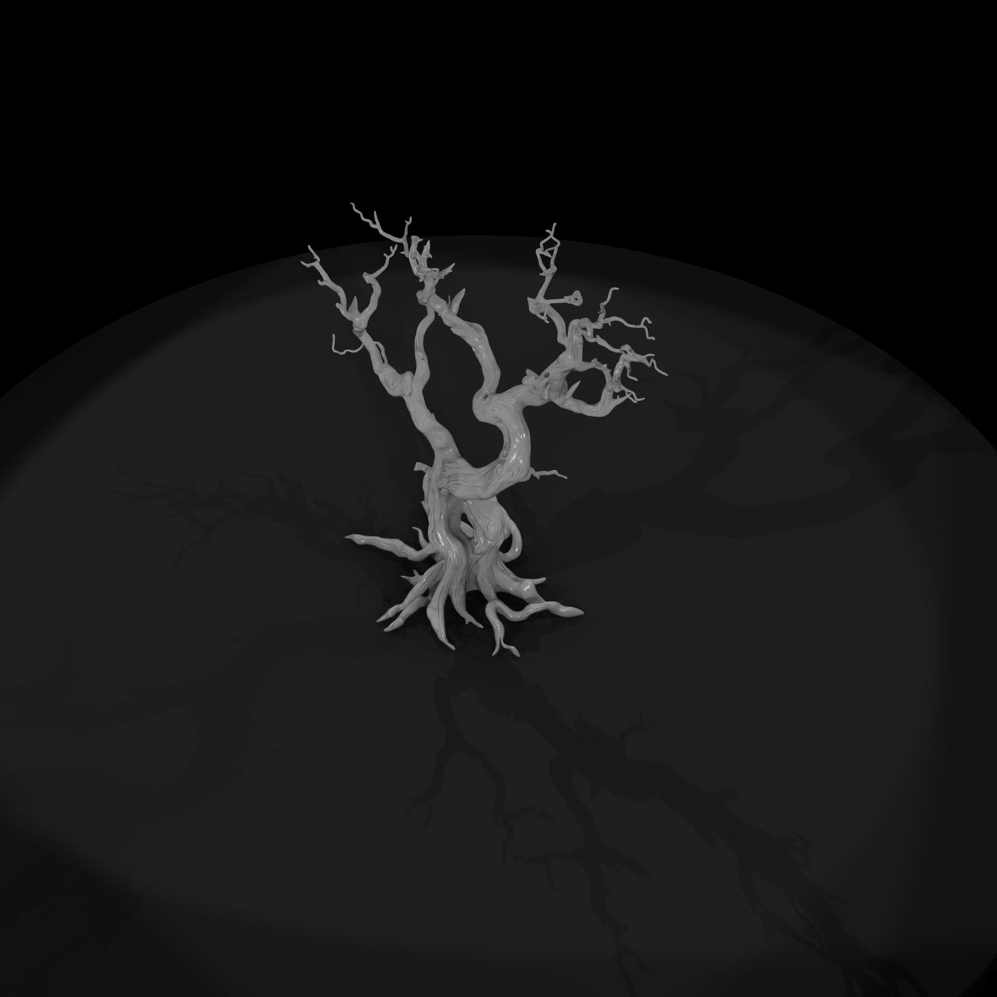 20260612-ancient-twisted-dead-tree-cfc565e291