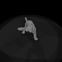 ant-147-cougar-adolescent — thumbnail 6