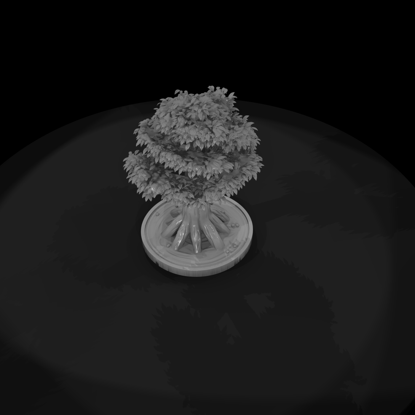 Stylized Bonsai Tree Display