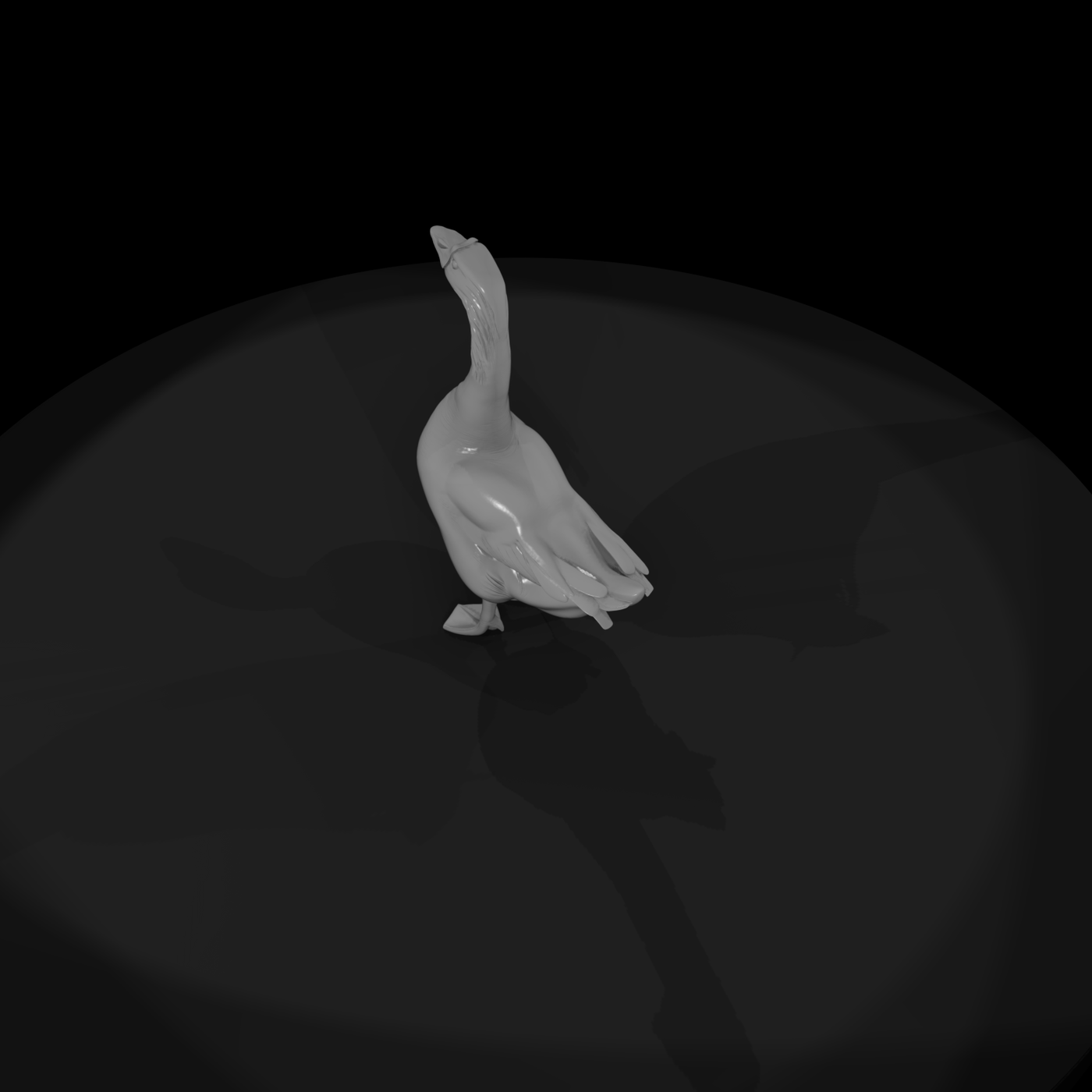Standing Domestic Goose