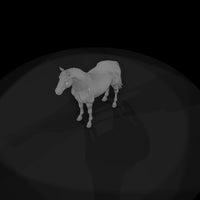 bay-horse — thumbnail 8