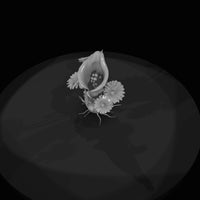 deadly-plants-corpse-daisy-reprise — thumbnail 6