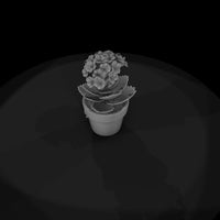 sculpted-kalanchoe-potted-succulent-miniature-3d-printable-525568 — thumbnail 7