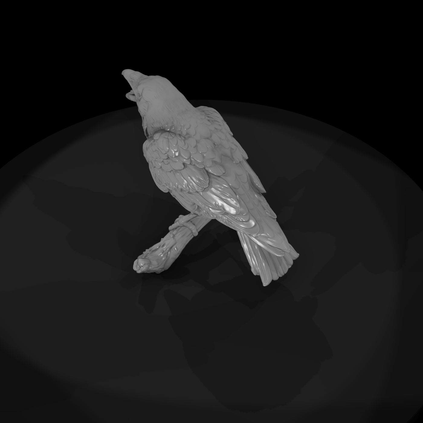 ww-0347-animal-common-raven