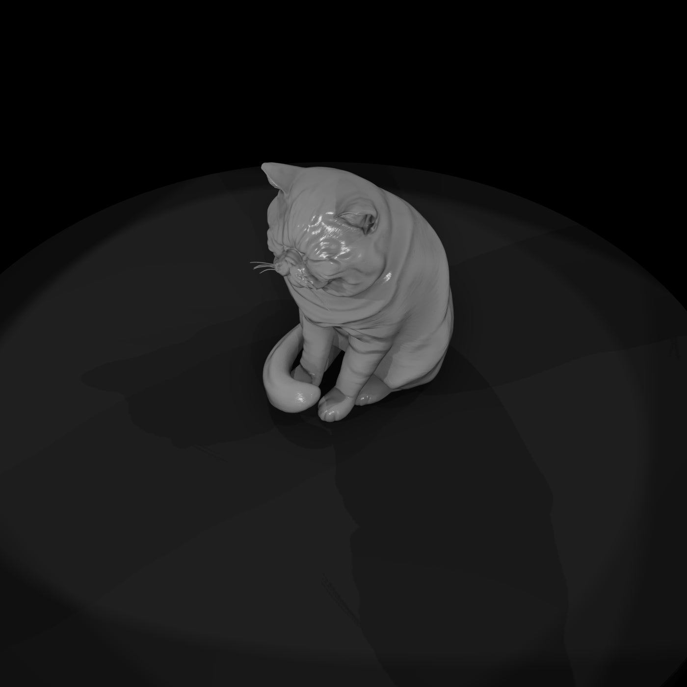 a-collection-of-housecats-exotic-b24ed562-meshref