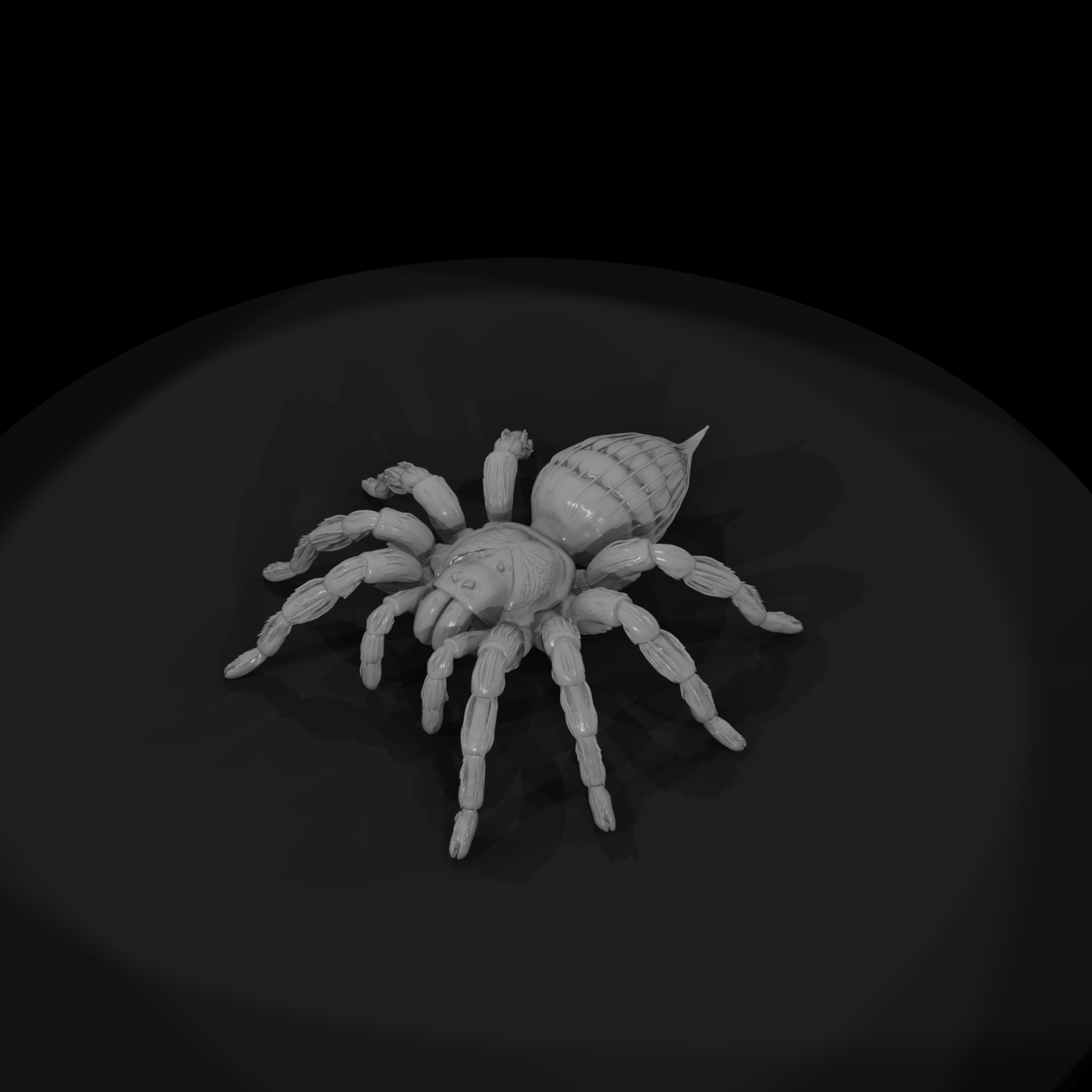 Ww 0339 Animal Tarantula