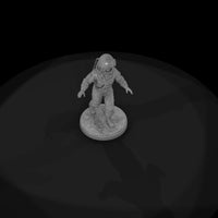 stp-018-brass-diver-2f1767 — thumbnail 7