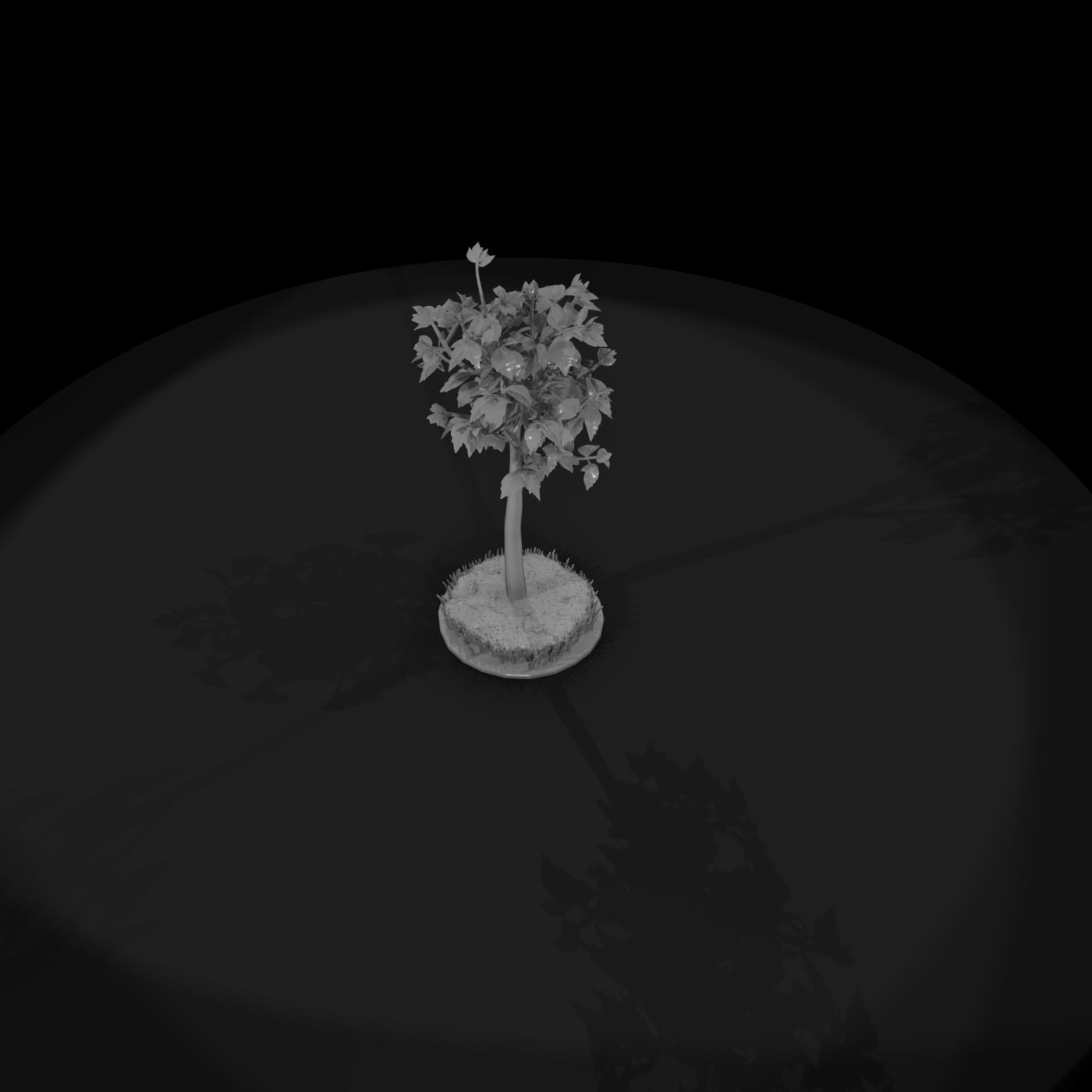 stylized-birch-tree-low-poly-diorama-tree-209959