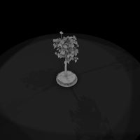 stylized-birch-tree-low-poly-diorama-tree-209959 — thumbnail 7