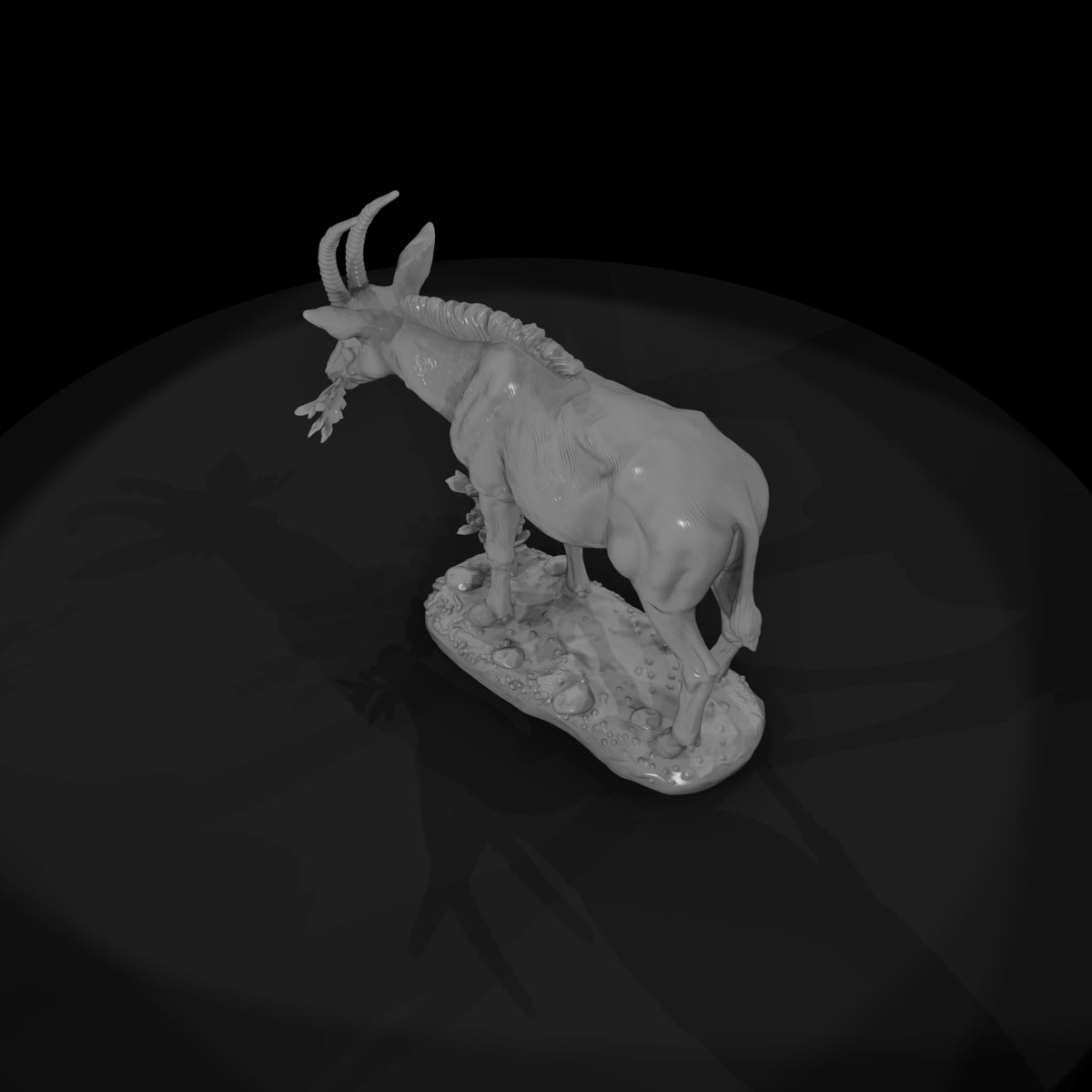 ant-233-sable-antelope-female