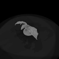 creature-p033 — thumbnail 6