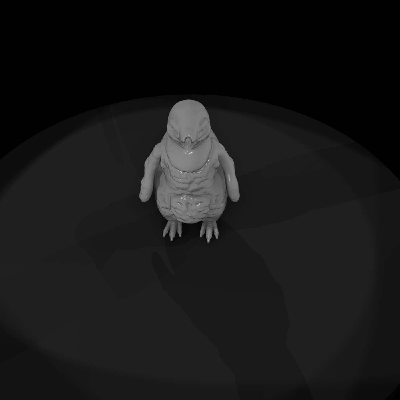 Adolescent King Penguin