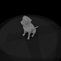 dog-hunting — thumbnail 8