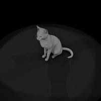 a-collection-of-housecats-russian-64ae224e-meshref — thumbnail 6