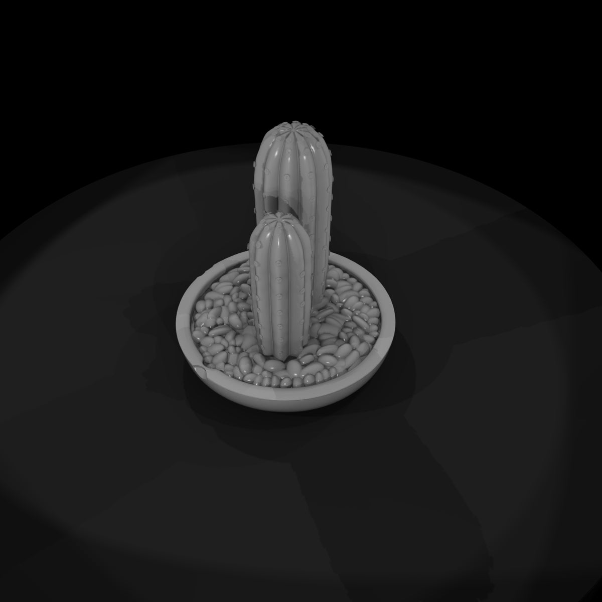 minimalist-potted-cactus-miniature-576781