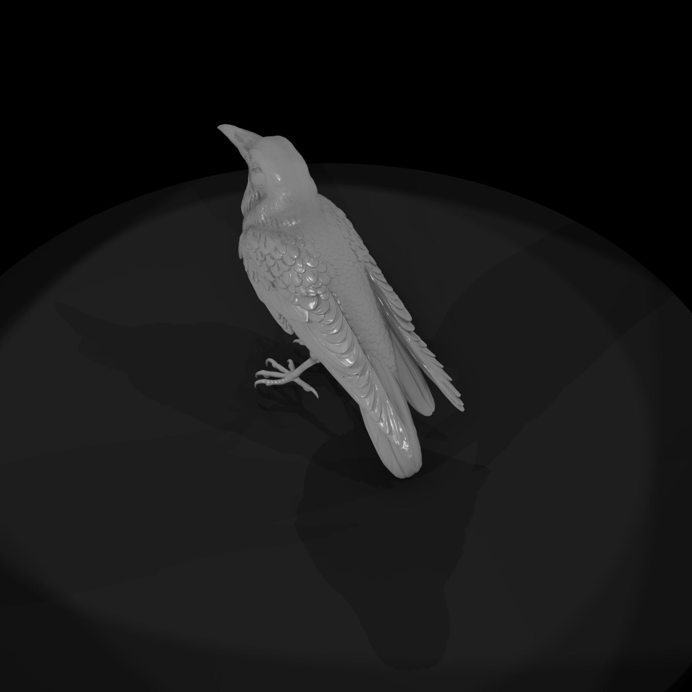 20260612-black-crow-bird-9e24e12319