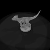 dino-13-pachycephalosaurus-6acab3 — thumbnail 6
