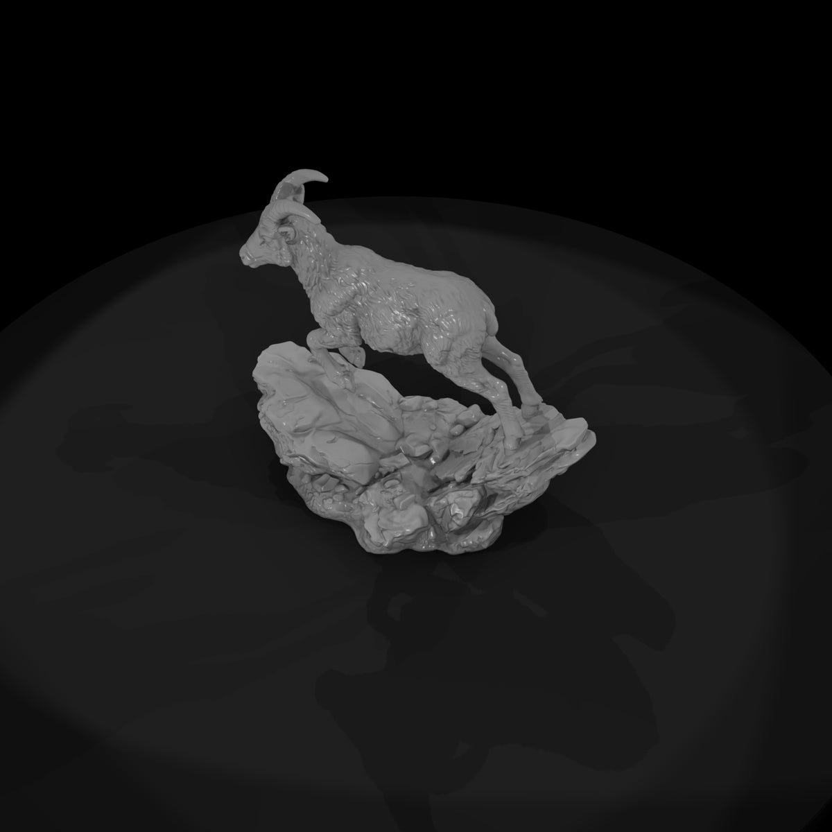 ant-057-bighorn-sheep-adolescent